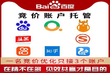 SEM广告投放中的数据监控与调整策略——以某品牌营销案例为例